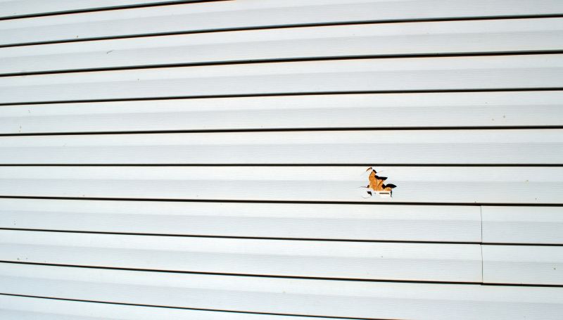 Vinyl Siding in Spring